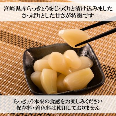 ふるさと納税 三股町 純国産甘らっきょうセット(130g×10袋・計1.3kg)【MI014】 |  | 01