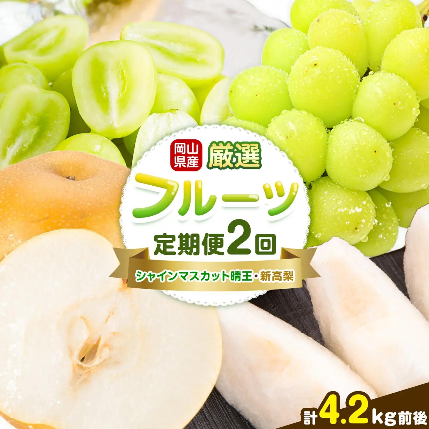 岡山県産 厳選 フルーツ 定期便 2回 シャインマスカット 晴王 新高梨 計4.2kg前後 株式会社藍《9月上旬-10月下旬頃出荷》 岡山県 浅口市 岡山県産 シャインマスカット 新高梨 梨 旬 フルーツ 果物 くだもの 送料無料 【配送不可地域あり】（北海道・沖縄・離島）