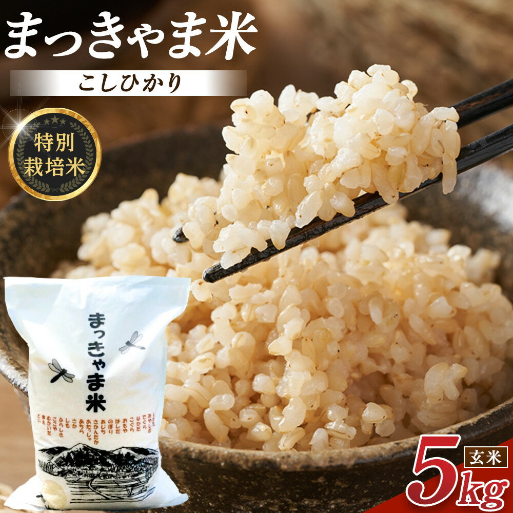 【ふるさと納税】令和7年度産【特別栽培米】 石川県産こしひかり 棚田米【玄米】 5kg まっきゃま米 | ブランド米 自然栽培 食品 健康 お米 おにぎり 美味しい お取り寄せ 通販 人気 おすすめ 送料無料 金沢 加賀百万石 加賀 百万石 北陸 北陸復興 北陸支援