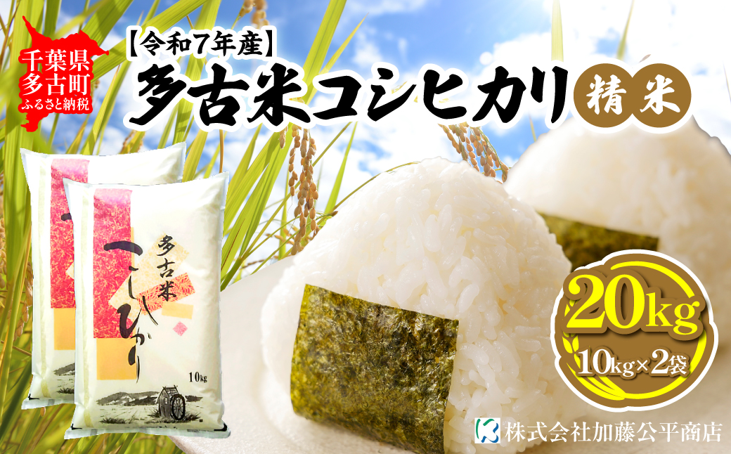 【令和7年産】多古米コシヒカリ 精米20kg(10kg×2袋)【配送不可地域：離島・沖縄県】 TAKE003