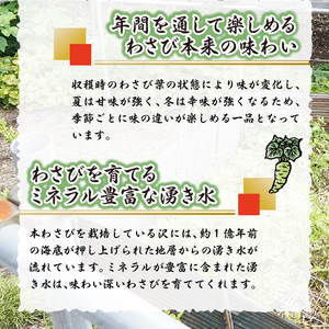 長寿むら入山沢水源わさび漬 手作り×５個