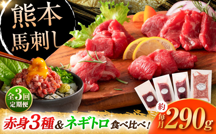 
                  【全3回定期便】【熊本特産】赤身馬刺し3種とネギトロの詰め合わせ 3891 /  馬肉 馬刺し 赤身 ばさし バサシ馬刺し 馬刺 赤身 馬刺 冷凍 小分け おすすめ オススメ 熊本 菊陽 馬肉 タレ付き 生姜付き あっさり ばさし 赤身【株式会社フジチク】 [BHAD066]
                