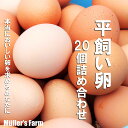 【ふるさと納税】【平飼い卵20個セット】お歳暮にも！