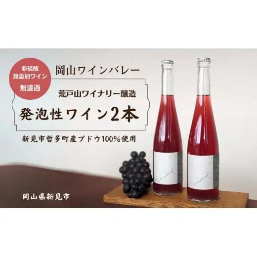 岡山ワインバレー 荒戸山ワイナリー醸造 ワイン2本セット（発泡性ワイン）