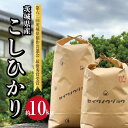 【ふるさと納税】【令和6年度】茨城県産 コシヒカリ お米 米 こしひかり 高萩 誠和農場10kg