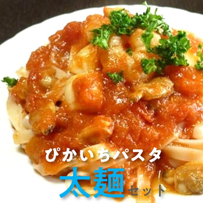【ふるさと納税】ぴかいちファームのぴかいちパスタ平麺 麺類