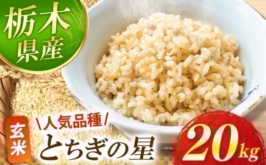 【先行予約】 とちぎの星 玄米 20kg  | お米 新米 米 白米 玄米 おにぎり 日本 主食 米 おいしい おこめ 5kg 10kg 20kg 30kg 栃木県 真岡市 送料無料