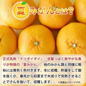 【2024年4月下旬より発送】夏みかん7.2kg【日高町】【1216956】
