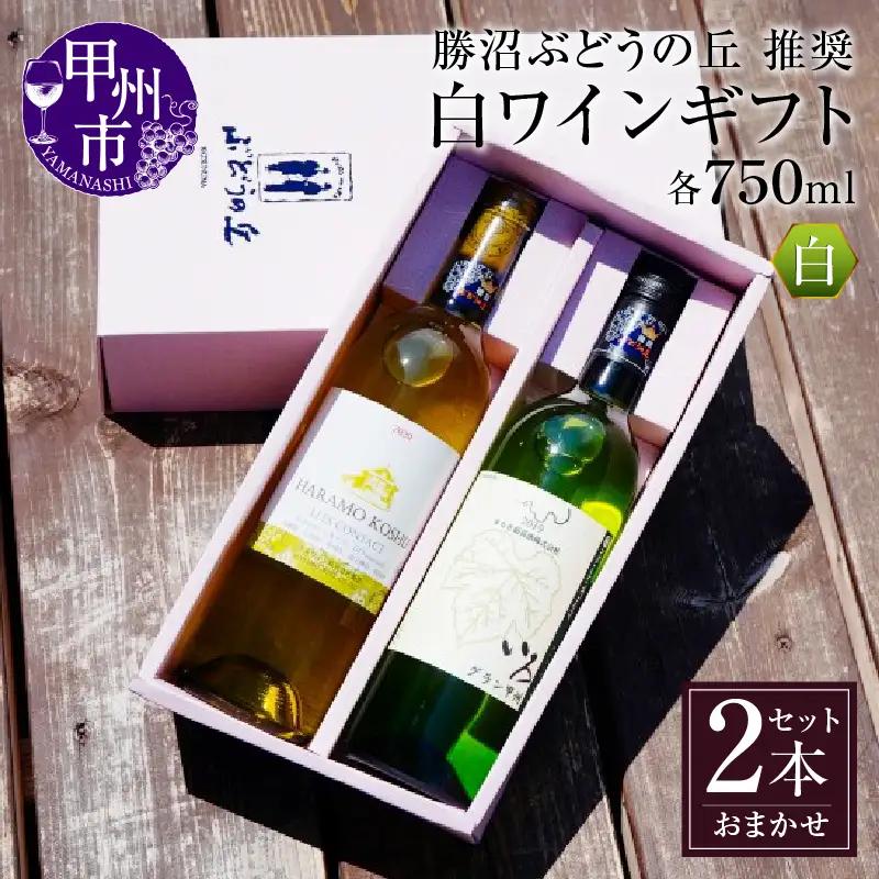 ワイン 勝沼ぶどうの丘推奨・白ワイン2本のギフトセット （KBO）C-658