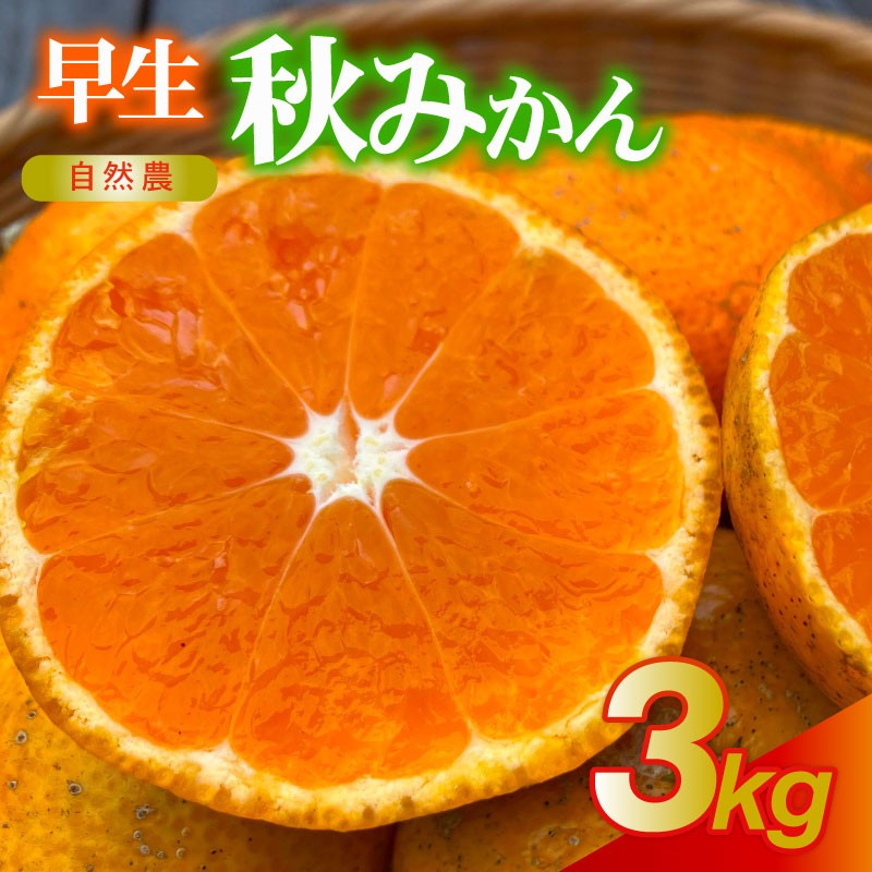 
                  【2026年11月1日から順次発送】 訳あり 早生 秋 みかん 約3kg 蜜柑 早生 フルーツ 果物 国産 くだもの 産地直送 わけあり 常温 静岡県産みかん 静岡みかん 西浦 沼津 静岡 自然農 ふるさと 納税 秋 西浦みかん 混合 静岡県産
                