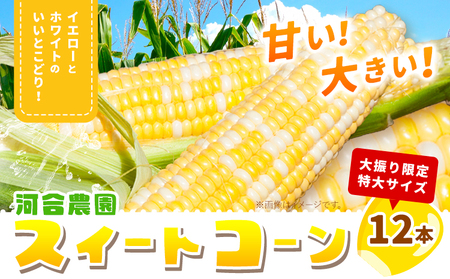 朝採りとうもろこし 河合農園のスイートコーン 12本 特大サイズ(1本380g以上) 河合農園《2026年8月上旬-9月中旬頃出荷》特大 北海道とうもろこし　とうもろこし　とうもろこし　とうもろこし 北海道 朝採れ 真空予冷 冷蔵 高糖度 夏野菜