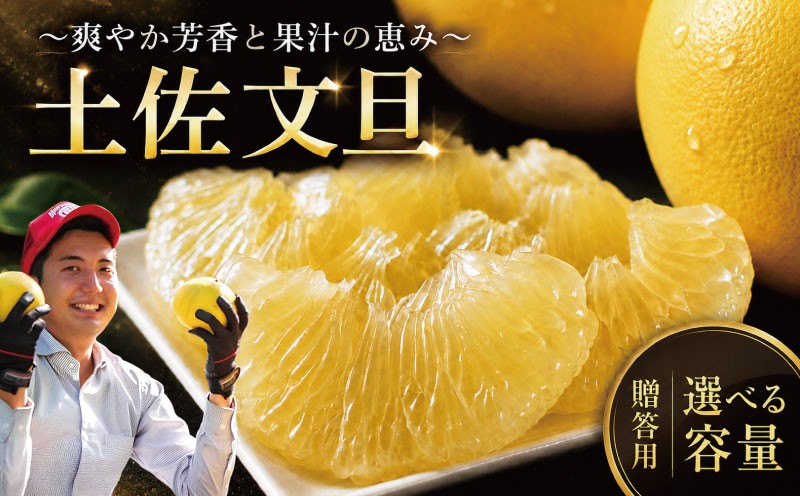
                  先行予約 文旦 贈答用 (2L～3L 5～6玉 / 3L～4L 7～8玉) 土佐文旦 文旦贈答用 柑橘 フルーツ 文旦 数量限定 期間限定 みかん 蜜柑 ぶんたん ブンタン 文旦 分担 高級 国産 文旦 冬 春 旬 果物 果物類 新鮮 文旦 お裾分け ギフト 贈答 冬ギフト 柑橘 文旦 農家直送 産地直送 送料無料 大玉 小玉 文旦高知 大北果樹園 高知県 安芸市 【2027年2月上旬～発送】
                