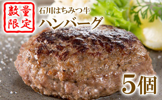 【数量限定】石川はちみつ牛ハンバーグ（5個）【13001】