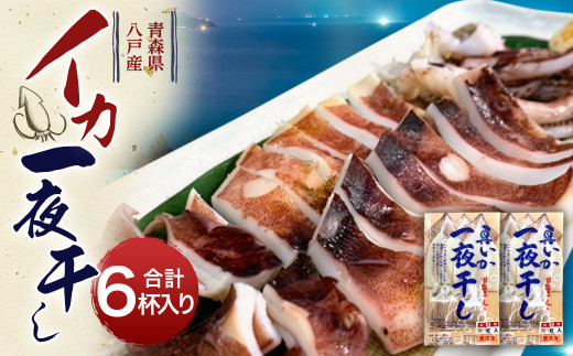 青森県八戸産 イカ 一夜干し 1パック 3杯入り × 2パックセット