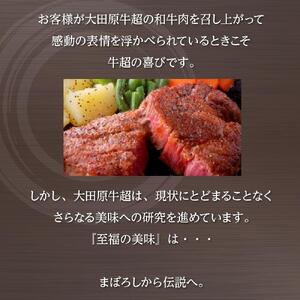 大田原牛 100％ サイコロビーフシチュー 3パックセット | レトルト シチュー 和牛 牛肉 ビーフ 高級