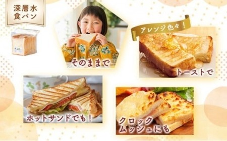 3回定期便 食パンセット【室戸海洋深層水仕込み】 4斤×3回 食パン もちもち ぱん 北海道産小麦使用