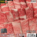 【ふるさと納税】＜宮崎牛肩ロース焼肉500g(ギフト仕様)＞ ※入金確認後、3か月以内に順次出荷します。 牛肉 特産品 牛乃屋 キャンプ 宮崎県 高鍋町 【冷凍】