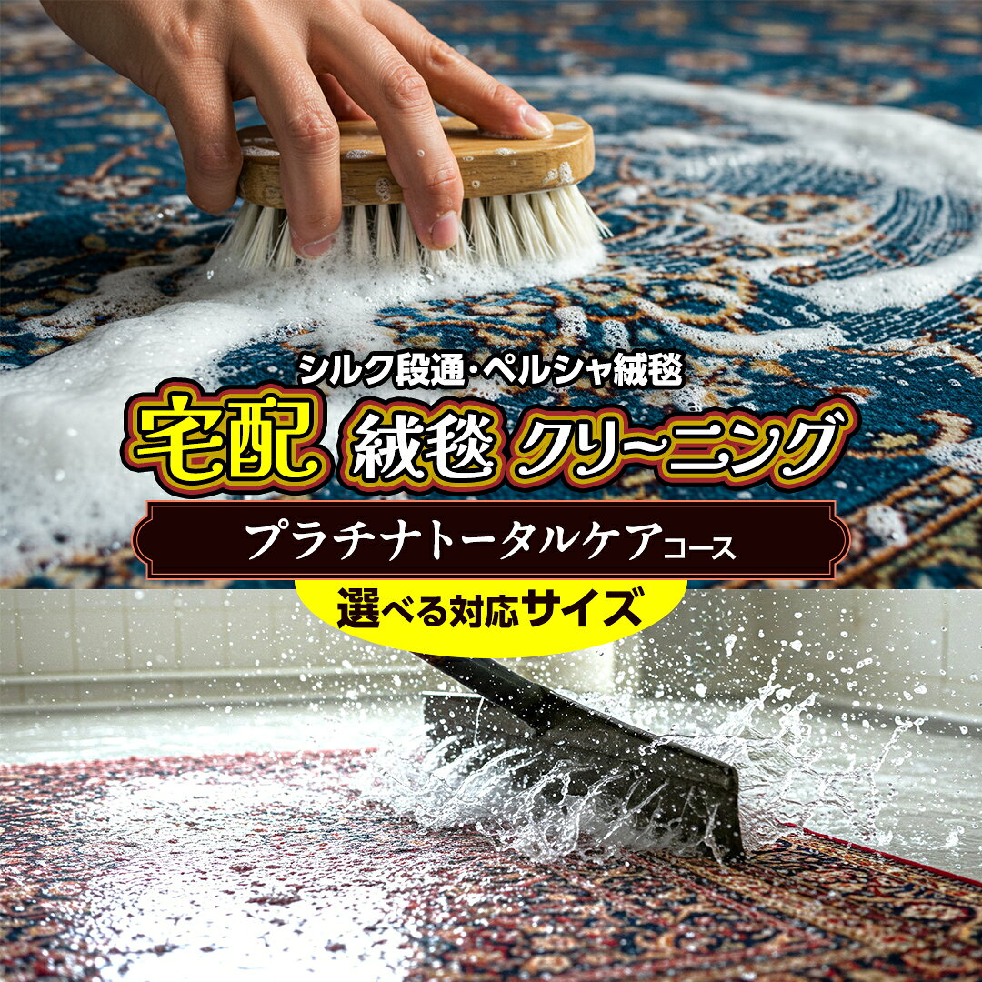 【ふるさと納税】＼選べるサイズ／宅配 絨毯 クリーニング チケット │ プラチナトータルケアコース 宅配 クリーニング 洗濯 洗浄 清潔 じゅうたん ラグ カーペット 丸洗い マット ニオイ対策 大掃除 ダニ 対策 敷物