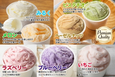 【無地熨斗】 くりーむ童話 プレミアム カップアイス「美味しさ自慢」100ml×15個 アイスクリーム 100mlカップ 15個 北国Fセット