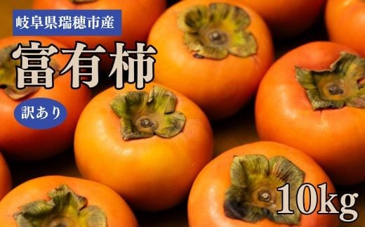 
            岐阜県瑞穂市産 訳あり富有柿 10kg※2025年11月中旬～12月中旬頃に順次発送予定
          