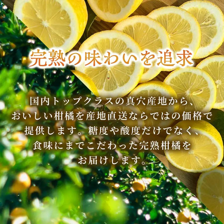 【先行受付】【防腐剤・ワックス不使用で安心】真穴産地直送のレモン 5kg×2箱(2Lサイズ大玉)【G98-11】 YWTBU011