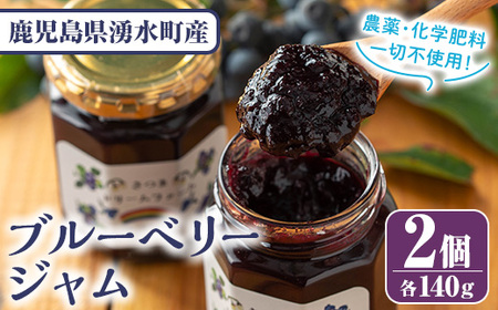 y529 ブルーベリージャム(計2個・140g×2) 果物 くだもの フルーツ ジャム ベリー 自家製 パン ヨーグルト 朝食 食品 加工品 常温 【体験型観光農園さつまドリームファーム】