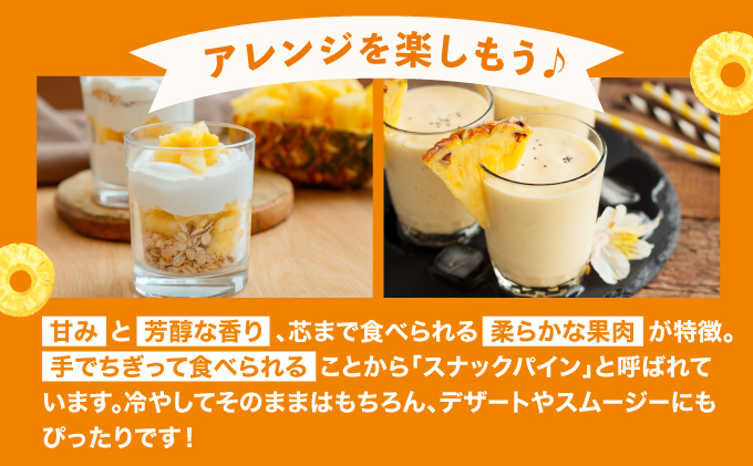 【2026年4月中旬発送】訳あり 石垣島産 スナックパイン 約4kg（4～10個）KP-01 | ふるさと納税 パイナップル 産地直送 フルーツ 果物 パイン 石垣 沖縄 沖縄県石垣市 石垣島