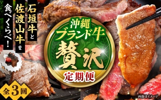 【全3回定期便】沖縄ブランド牛を堪能！贅沢お肉定期便【沖縄市】牛肉 和牛 サーロインステーキ 焼肉 赤身 沖縄市 / 肉のサブロー / お肉屋本店 [BCZZ027]