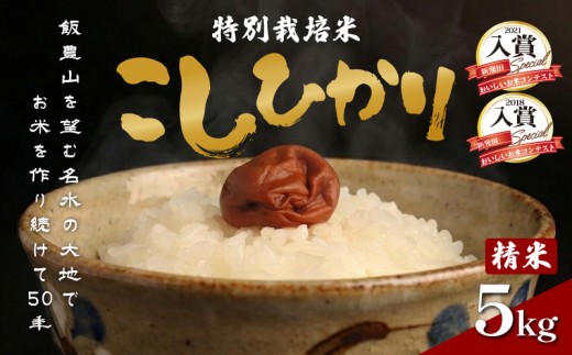 令和8年産 特別栽培米 コシヒカリ 白米 5kg （5kg×1袋） 特栽米 新潟県産 こしひかり こめ 新潟米 新発田産 新潟 米 ごはん おにぎり させ農園 新潟県 新発田市 sase001_202610_01