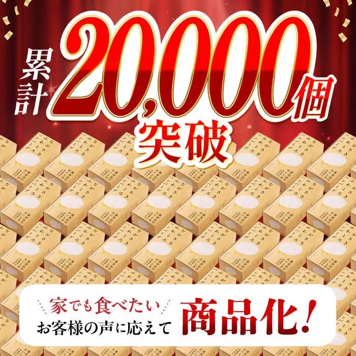 【全3回定期便】ハンバーグ 5個入 ふわとろハンバーグ ご自宅用 簡易包装 [YF10] 