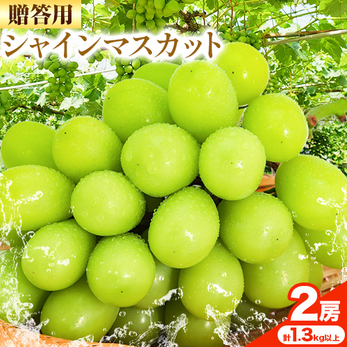 贈答クラス シャイン マスカット 2房 (合計1.3kg以上) 【配送不可地域あり】 OEC KINGDOMぶどう家 《8月下旬-10月上旬頃出荷》岡山県 浅口市 ぶどう 果物