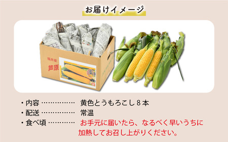 【先行予約】春とうもろこし 10本 おおもの 黄色 朝採り ／ 期間限定 数量限定 ハウス栽培 産地直送 甘い スイートコーン とうもろこし 野菜 あわら ※2024年6月上旬より順次発送