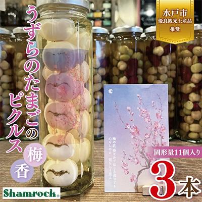 ふるさと納税 水戸市 【水戸市有料観光土産品】Shamrock うずらのたまごのピクルス 梅香 3本