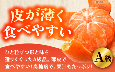 ＜サイズおまかせ＞高知県産温州みかんA級品 約3kg / みかん 柑橘 オレンジ 高知県 温州 【株式会社にしごみ】[ATEA010]