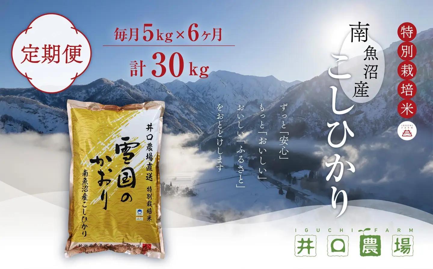 【令和７年産】【定期便】５kg×６ヶ月　南魚沼産コシヒカリ 井口農場 こだわりの 特別栽培米【定期便 銘柄米 ブランド米  精米 こしひかり コシヒカリ 魚沼産 新潟米 新潟県産 産地直送 ご飯 御飯 ごはん お米 米 こめ コメ】
