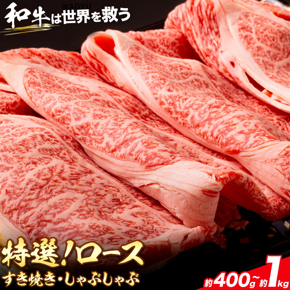 【ふるさと納税】特選 黒毛和牛 ロース すき焼き しゃぶしゃぶ 選べる内容量 約400g 約800g 約1kg 株式会社Demi Enterprise《30日以内に出荷予定(土日祝除く)》大阪府 羽曳野市 送料無料 牛肉 牛 和牛 ロース