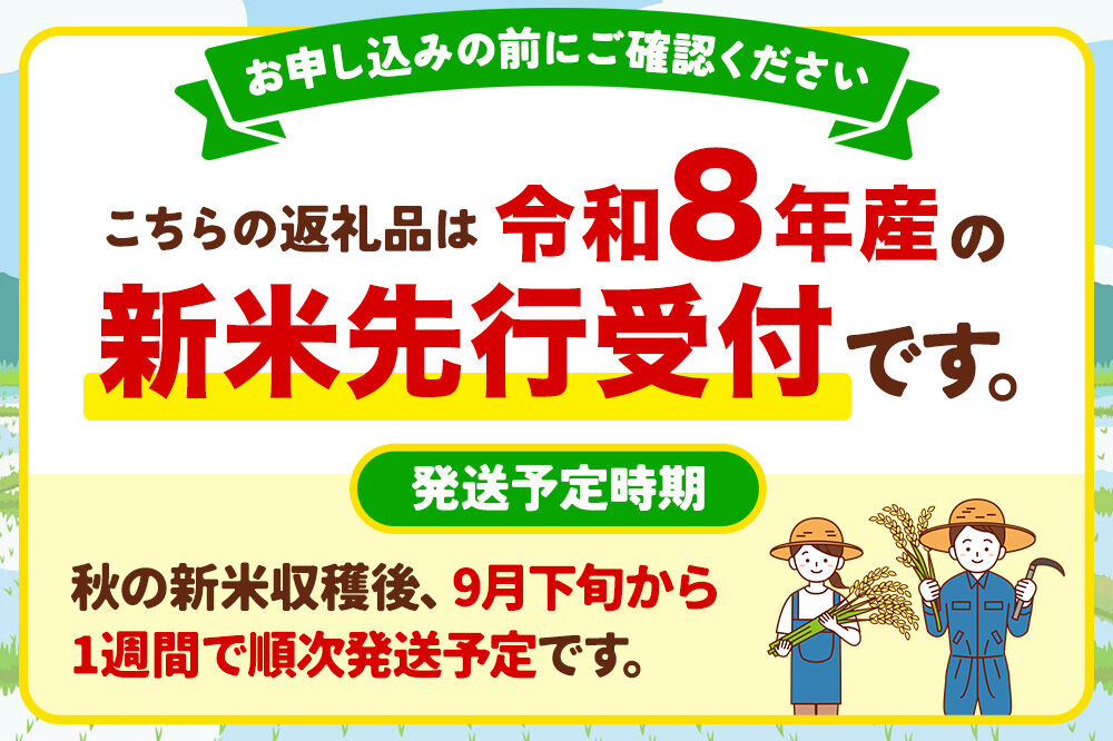 《令和8年産 新米予約》沼田のこしひかり「みずのながれ」お試し六合 900g 群馬県沼田市産 精米 白米 コシヒカリ [こしひかり コシヒカリ みずのながれ 白米 精米 新米 先行予約]