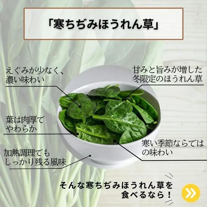 ほうれん草 2kg 10袋 ほうれん草 ほうれんそう