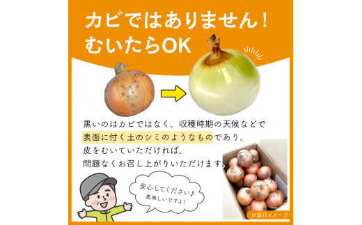 【予約：2024年10月中旬から順次発送】日本一の玉ねぎ生産地！信田農園の玉ねぎ 10kg Lサイズ ( 信田農園 野菜 玉ねぎ 玉葱 たまねぎ タマネギ 10キロ 北見のたまねぎ オニオン 野菜 甘い ふるさと納税 )【124-0004-2024】