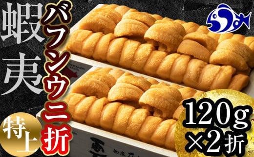 
            【先行予約/2026年1月より発送】エゾバフンウニ　折うに(特上)120×2枚
          