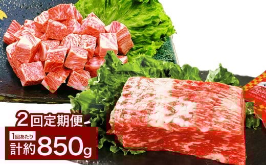 【2カ月定期便】 【人気 食べ比べ セット！】 おおいた和牛 サイコロステーキ ・ 1ポンドブロック 約850g×2回 計約1.7kg ステーキソース付