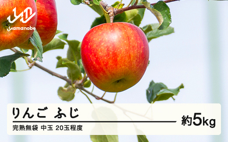 2026年産 渡辺果樹園 完熟無袋 りんご ふじ 約5kg（20玉程度）中玉 2026年12月上旬より順次発送 秋果実 果物 フルーツ サンふじ F20A-142 ※沖縄・離島への配送不可