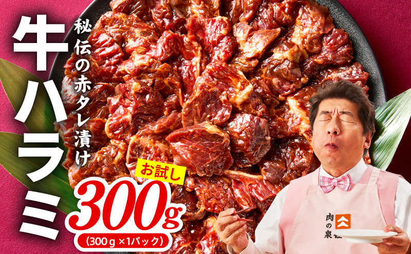 【お試し】牛ハラミ 300g【お試し 秘伝の赤タレ漬け 牛肉 焼肉用 焼くだけ はらみ 小分け BBQ やきにく 肉厚 高評価 訳あり サイズ不揃い 大阪 泉佐野 大阪府 泉佐野市】