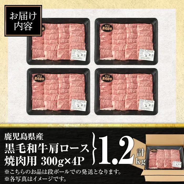 isa882 鹿児島県産黒毛和牛 肩ロース焼肉用(計1.2kg・300g×4P) 4等級以上！ 国産 牛肉 霜降り 国産 牛肉 霜降り 家庭用 冷凍 【サンキョーミート株式会社】