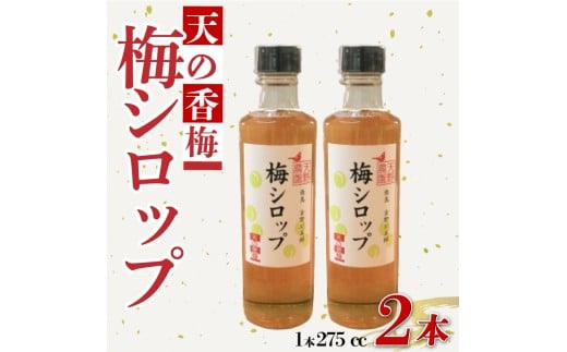天野農園の梅シロップ 275cc 2本 セット 国産 美郷 梅 シロップ うめ ウメ 無添加 焼酎 炭酸 飲料 ドリンク ジュース 瓶 常温 プレゼント ギフト 贈答 送料無料 徳島県 吉野川市 