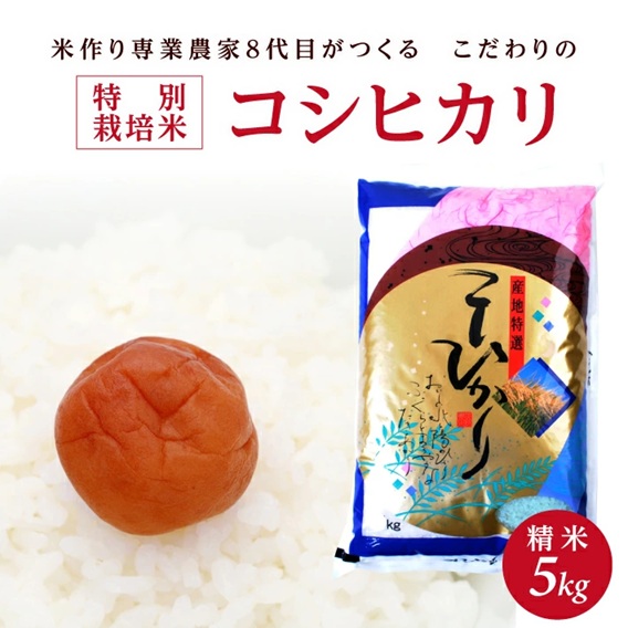 SA2707　令和7年産【精米】特別栽培米コシヒカリ　5kg×1袋「農家直送」 KA