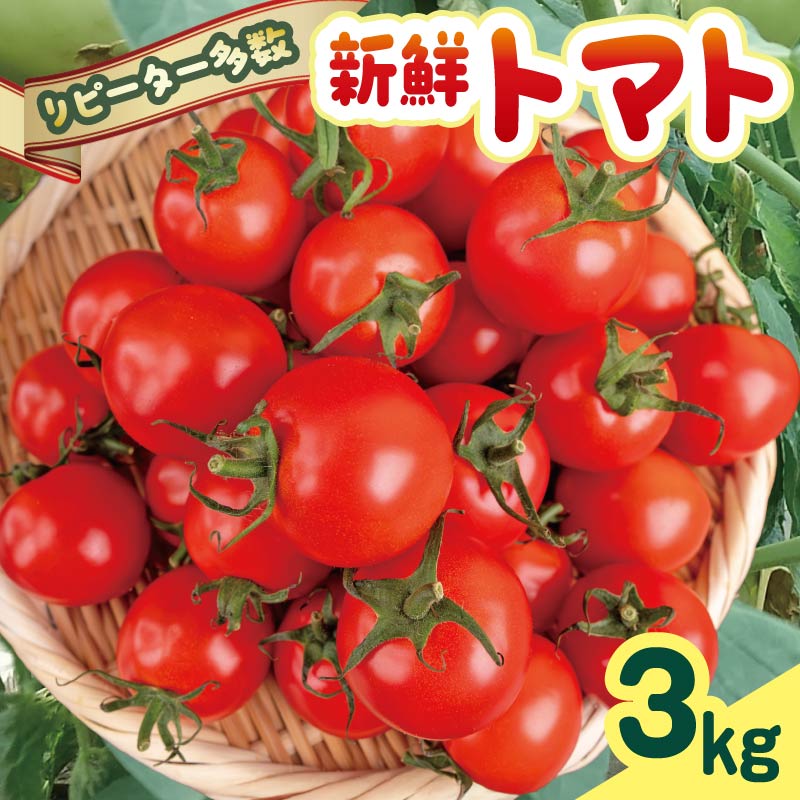 【ふるさと納税】 【先行受付】 安田町産 愛情たっぷり新鮮トマト3kg 新鮮 トマト とまと フルーツトマト ミディトマト 数量限定 詰め合わせ セット 甘い 旬 野菜 3kg 3キロ 採れたて くだもの 夏野菜 ギフト ふるさと納税 先行予約 高知県 安田町 TR-04