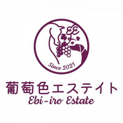 ふるさと納税 かすみがうら市 かすみがうら市産ブルーベリーをブレンドしたスパークリングワイン　375ml |  | 02