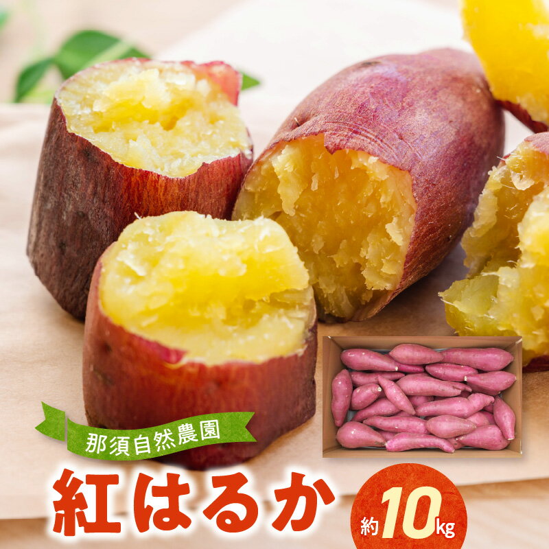 【ふるさと納税】那須自然農園 紅はるか 約 10kg さつまいも 自然農法栽培 全国環境保全型農業推進コンクール べにはるか 芋 野菜 強い甘み しっとりした 肉質 焼き芋 スイートポテト 天ぷら おかず スイーツ おやつ お取り寄せ 食品 送料無料 【熊本県宇土市】