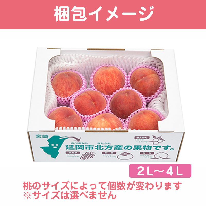 【田口ﾌｧﾐﾘｰﾌｧｰﾑ】旬の桃 2L～4L(14～24玉)(2025年6月中旬発送開始) N053-YZB710_イメージ4